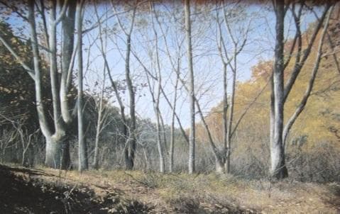 田中芳照、【落陽の池】、希少な額装用画集より、新品額装付、状態良好