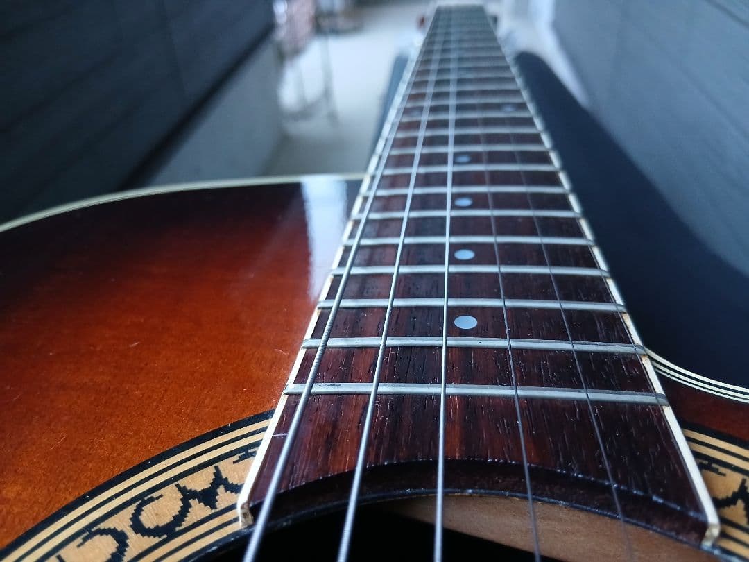 Tornado TZM(HC付き)