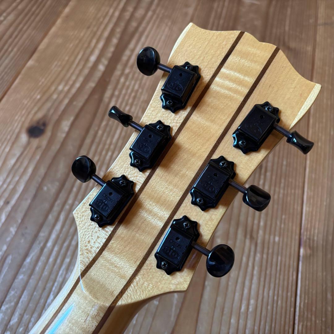 おうどん様Seventy Seven Guitars Exrubato-jazz