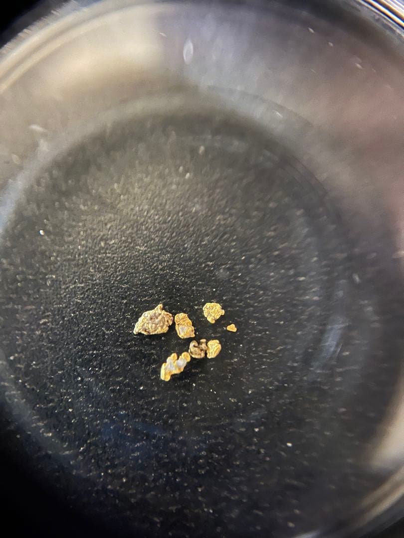 土肥金山砂金24K.純金130粒と石食い砂金！