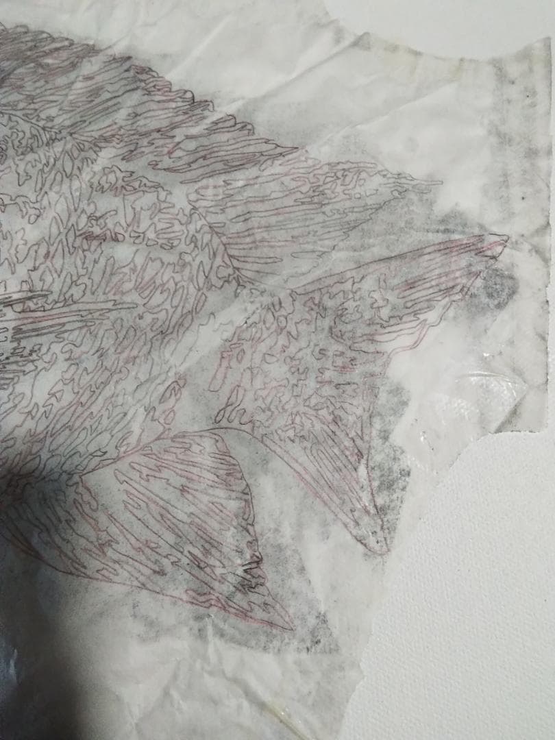 ヒロヤマガタ　巨匠真作魚直筆ドローイング鉛筆木炭画5号額無し保証書あり