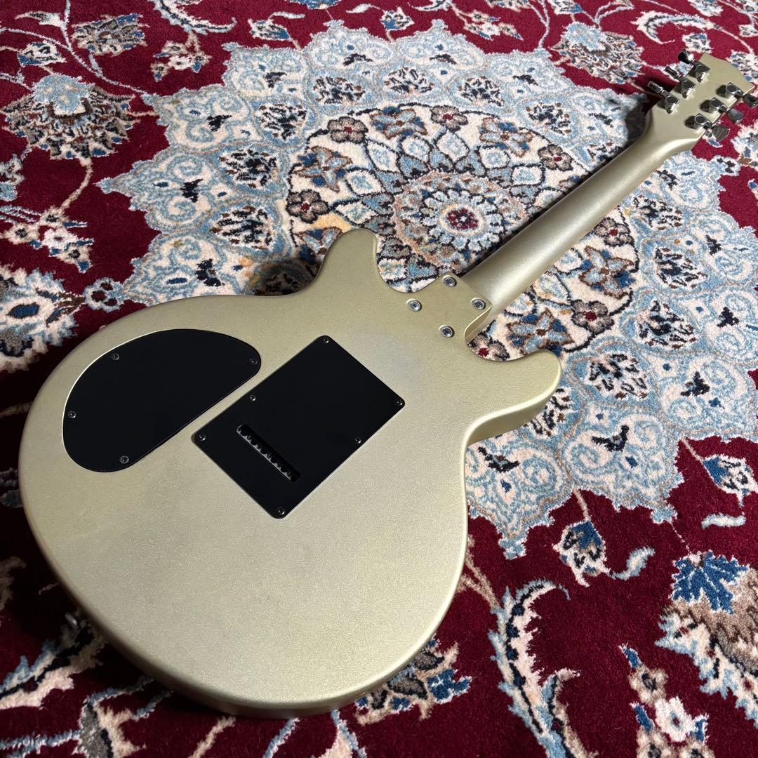 Barclay GLAY TAKURO 使用タイプ　ダブルカッタウェイ　ギター