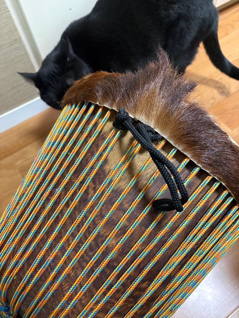 ギニア製ジャンベ、バック、セセ、ストラップ