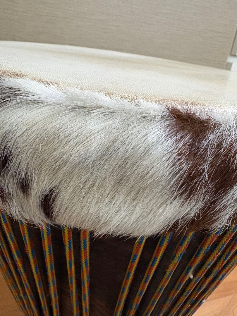 ギニア製ジャンベ、バック、セセ、ストラップ