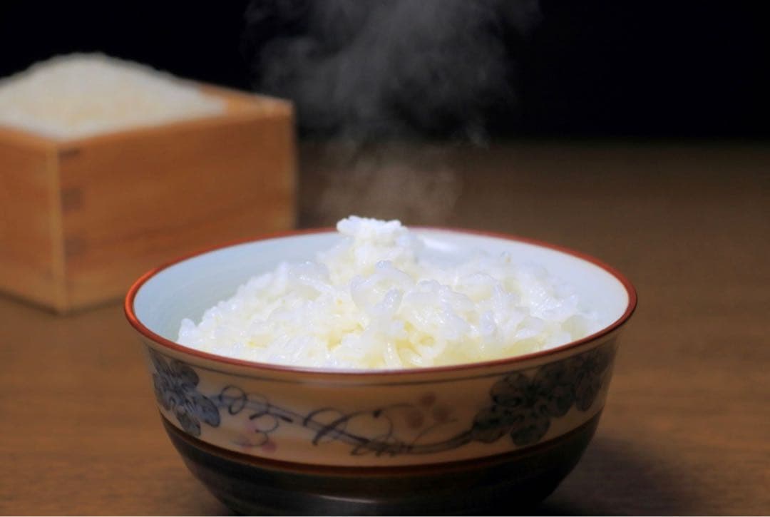 米　特別限定価格！白米【岩手県産銀河のしずく10kg】 (5kg×2)