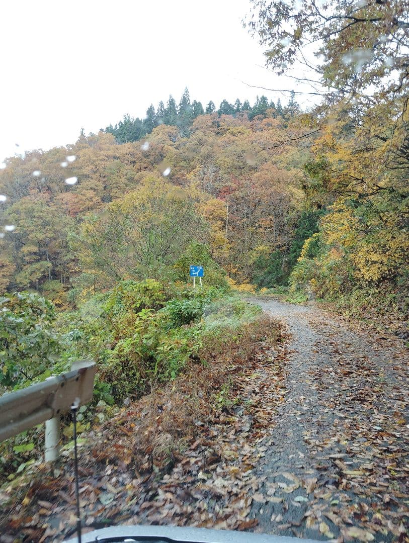 生　きのこ　8kg