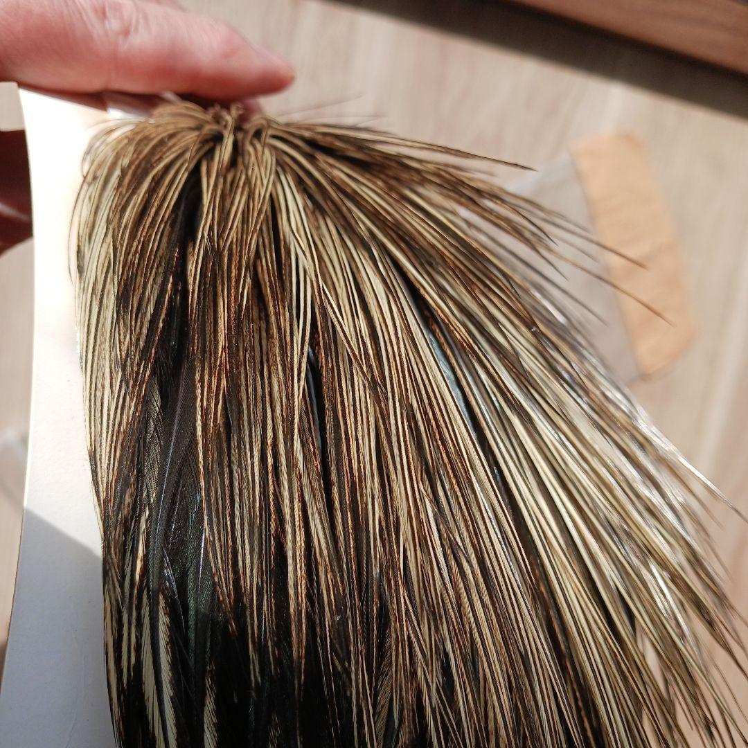 WHITING Hebert Pro Gradeスペックドバジャー