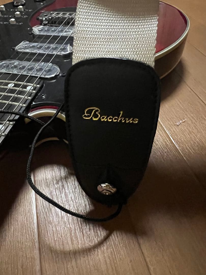 Brian May Signature Guitar レッド