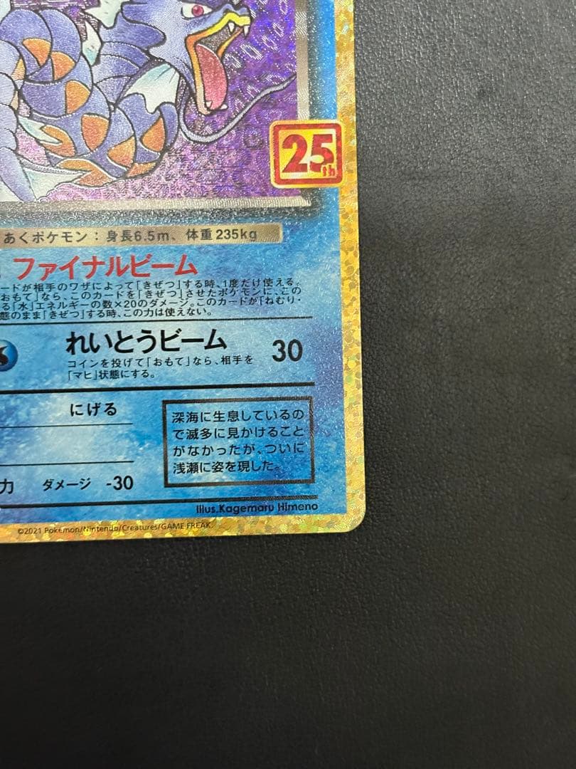 【美品】わるいギャラドス プロモカードパック 25th ポケモンカード