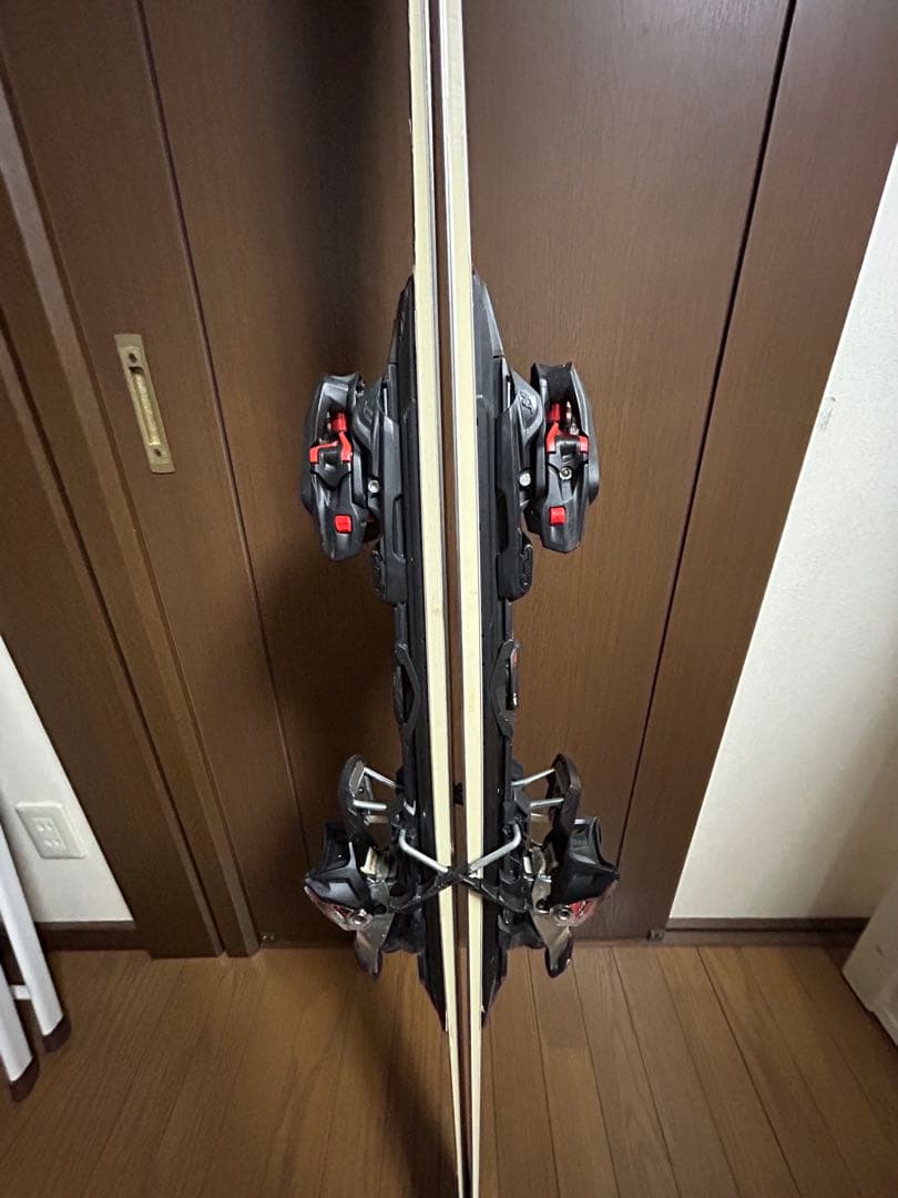 ノルディカ 165㎝　基礎　ドーベルマン SLR