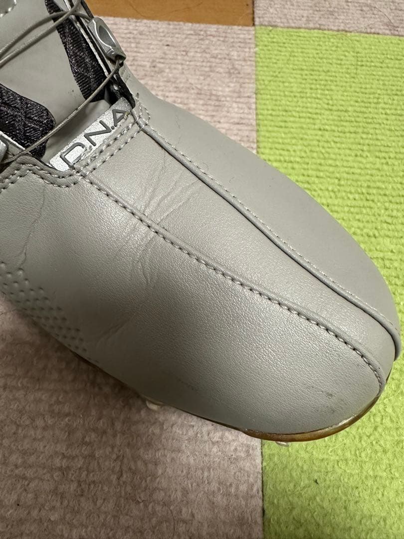 FJ DNA BOA 25cm アダムスコット愛用 名器 ゴルフシューズ