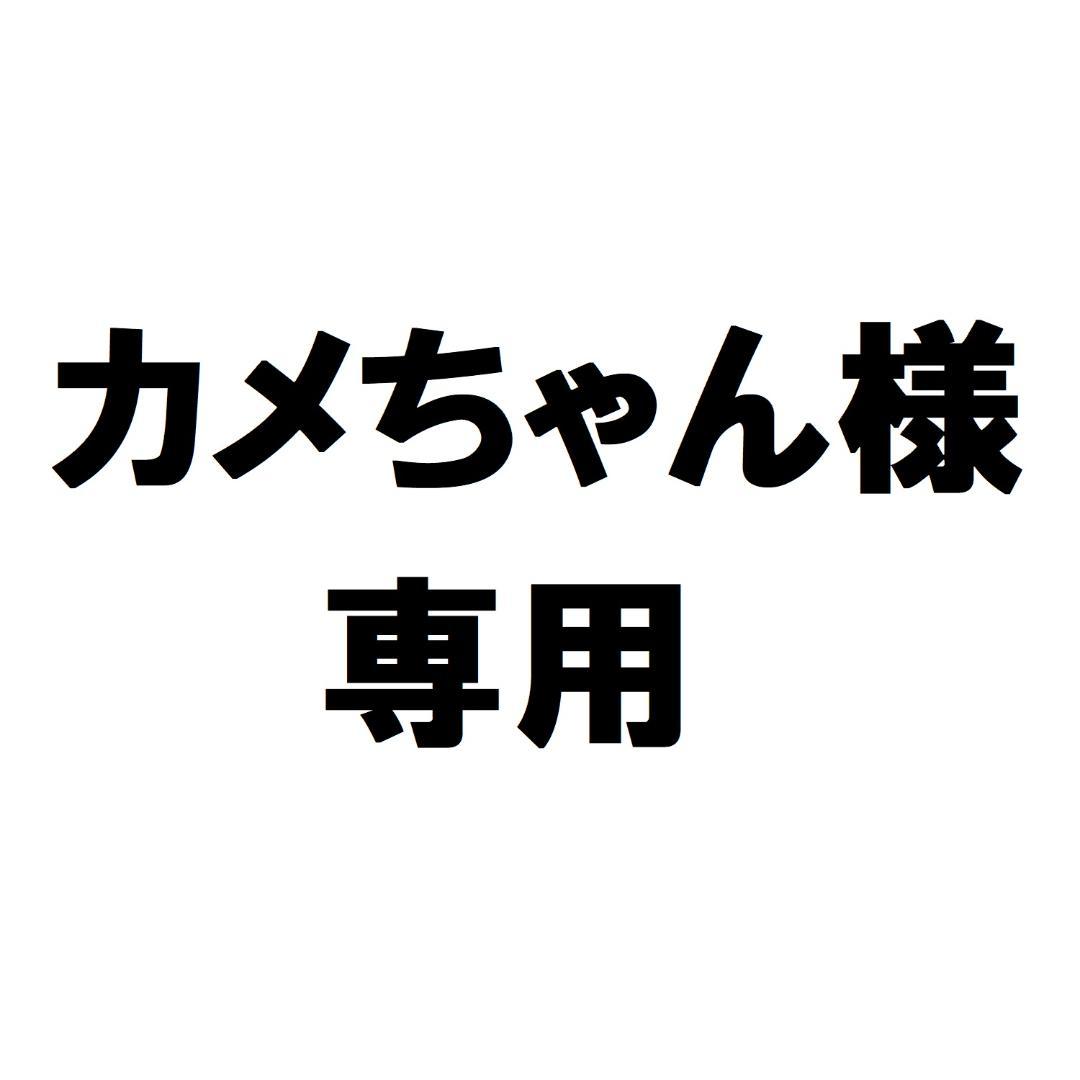 カメちゃん