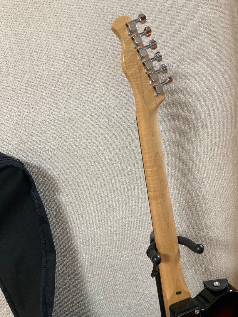 旧ロゴBacchus BTE- 250R バッカステレキャスター