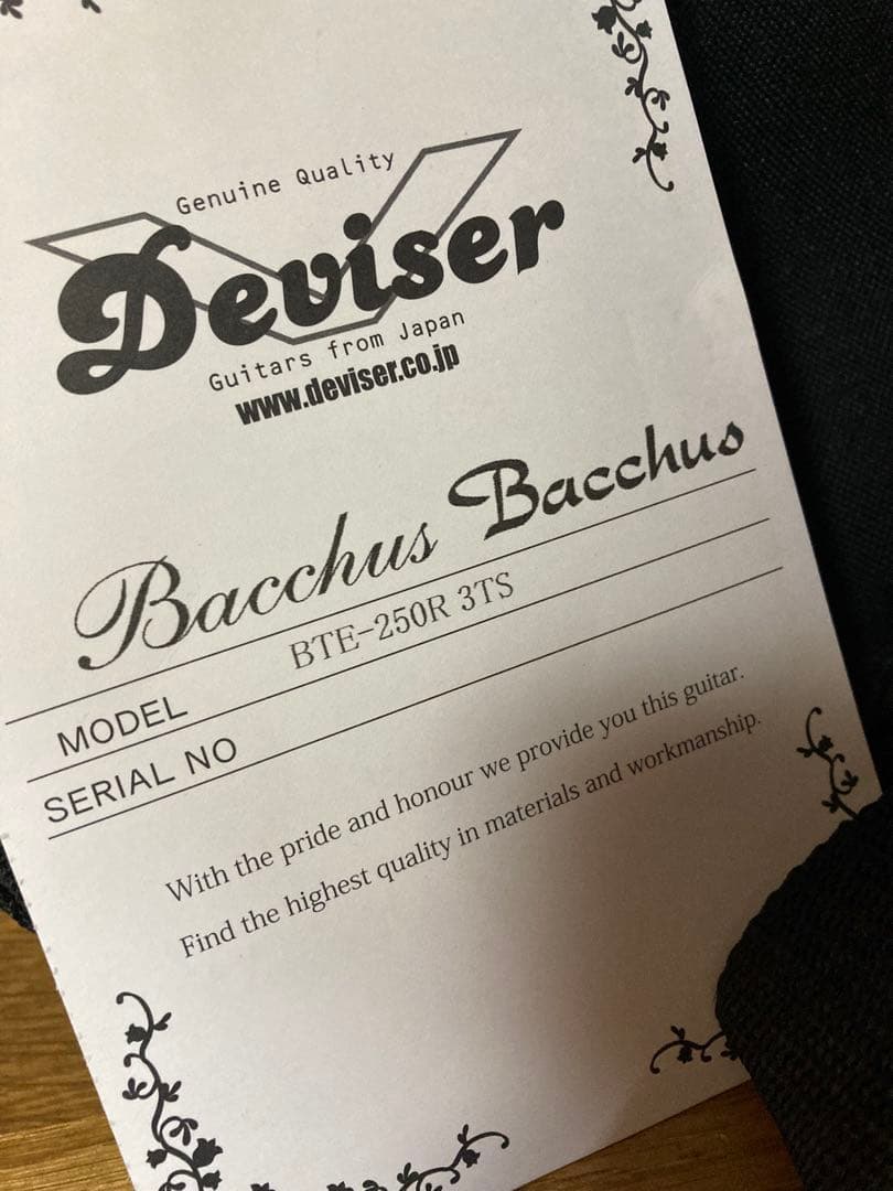 旧ロゴBacchus BTE- 250R バッカステレキャスター