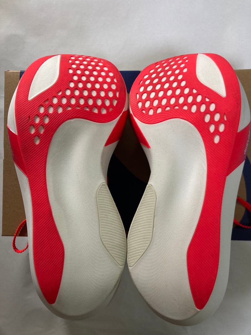 akane　ASICS SPEED SKY TOKYO 25cm