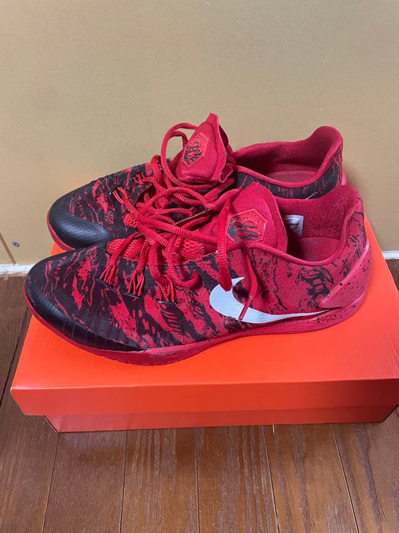 日本未発売NIKE HYPERCHASE PE