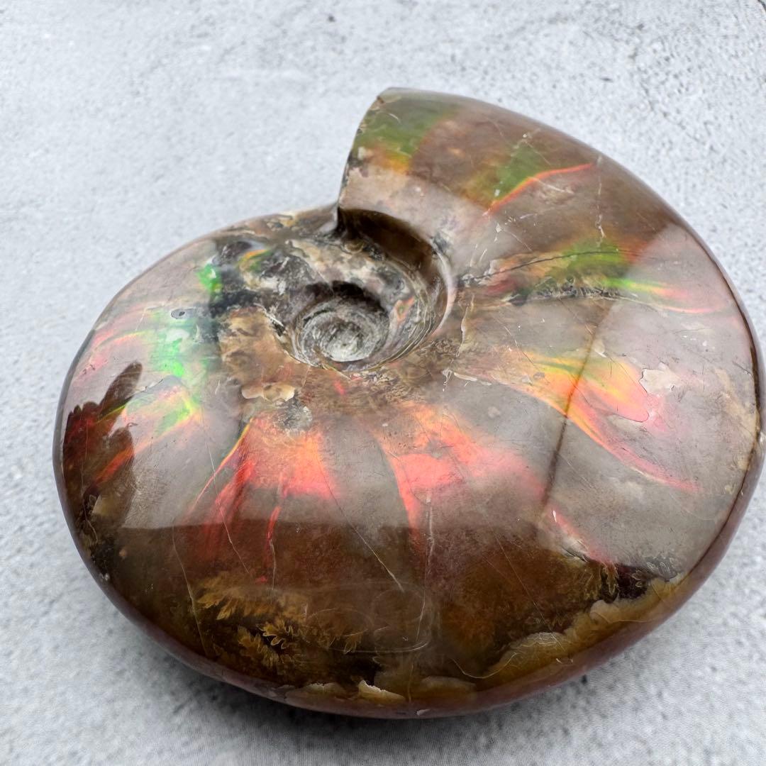 G-77天然アンモナイト原石　游色多色アンモナイト化石 天然石　コレクション標本