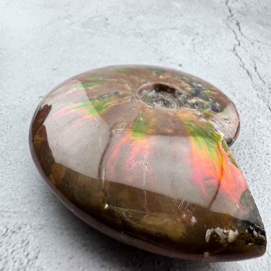 G-77天然アンモナイト原石　游色多色アンモナイト化石 天然石　コレクション標本