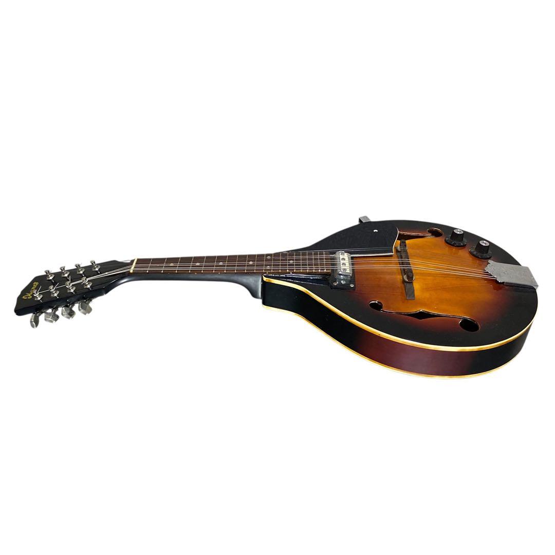 【希少品】IBANEZ エレキマンドリン　ハードケース付　マンドリン
