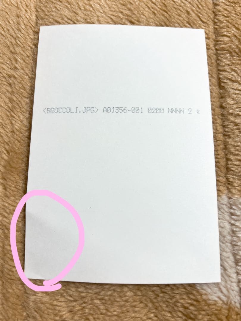 家庭教師ヒットマンリボーン　雲雀恭弥　ブロマイド