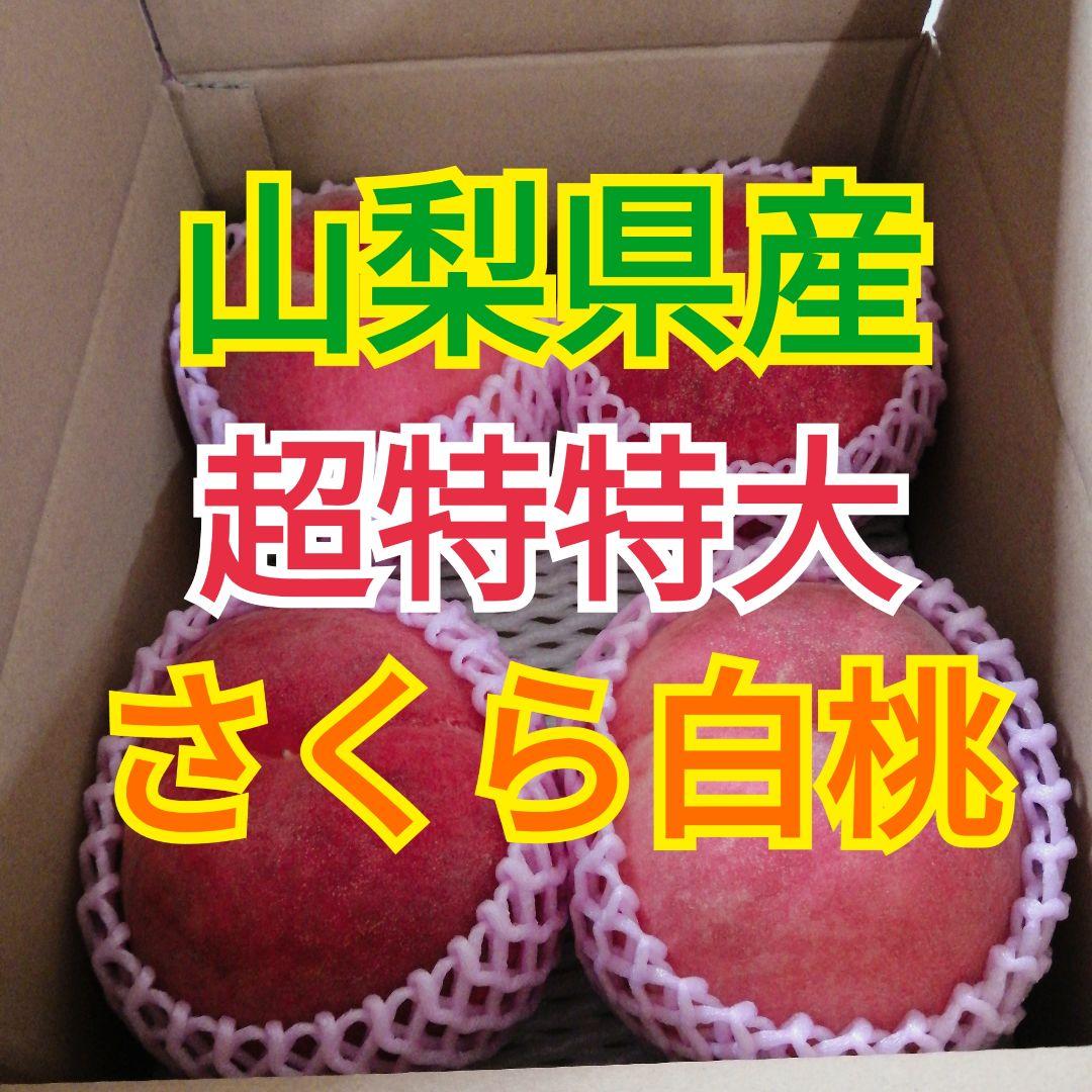 ❤えみたん❤様　ジュワッと甘味溢れる　さくら白桃　EM酵母栽培
