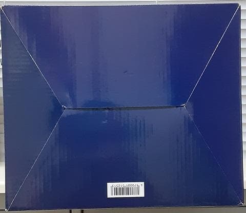 【未開封】Fate / Ground Order スカサハ バニーVer 1/4