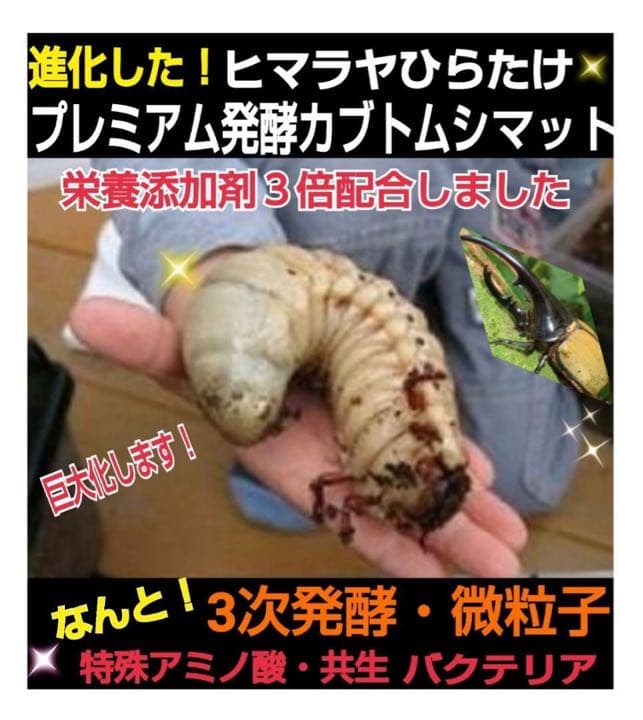 大人気！雑虫がわかない！完全室内製造！極上！プレミアム発酵カブトムシマット　6袋