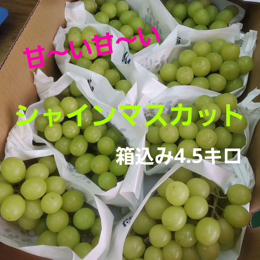 1⃣1⃣ 山梨県産 シャインマスカット ８房入り 箱込み4.4キロ