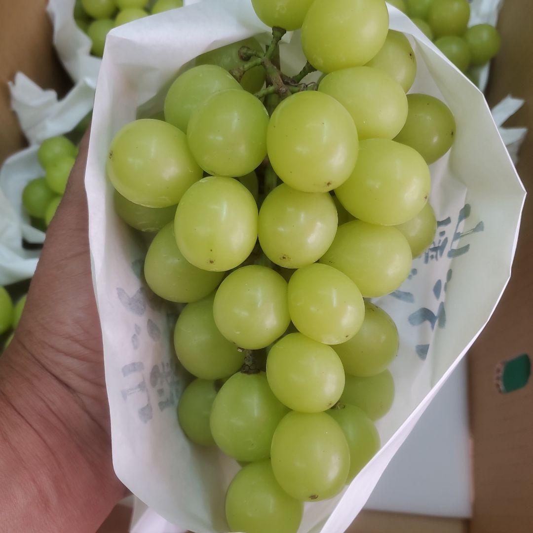 1⃣1⃣ 山梨県産 シャインマスカット ８房入り 箱込み4.4キロ