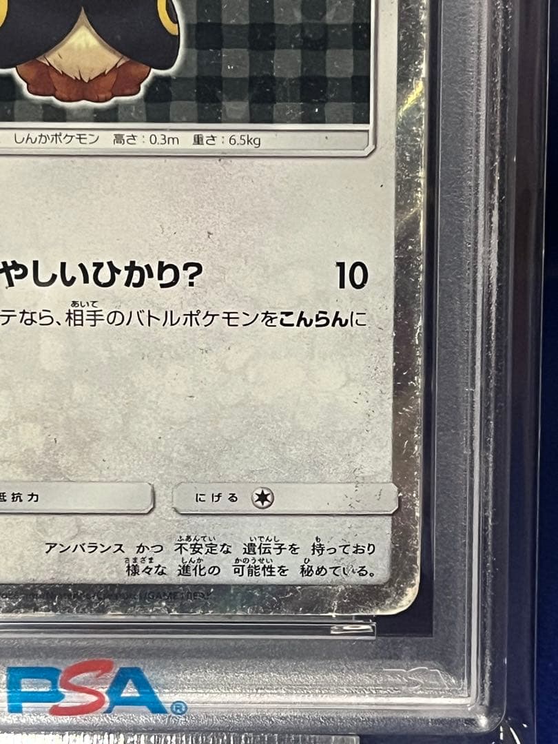 【歴戦個体】ポンチョを着たイーブイ（ブラッキー） PROMO SM-Pプロモ