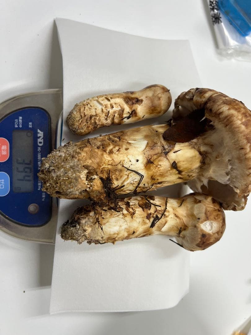 山形県産　松茸　380g