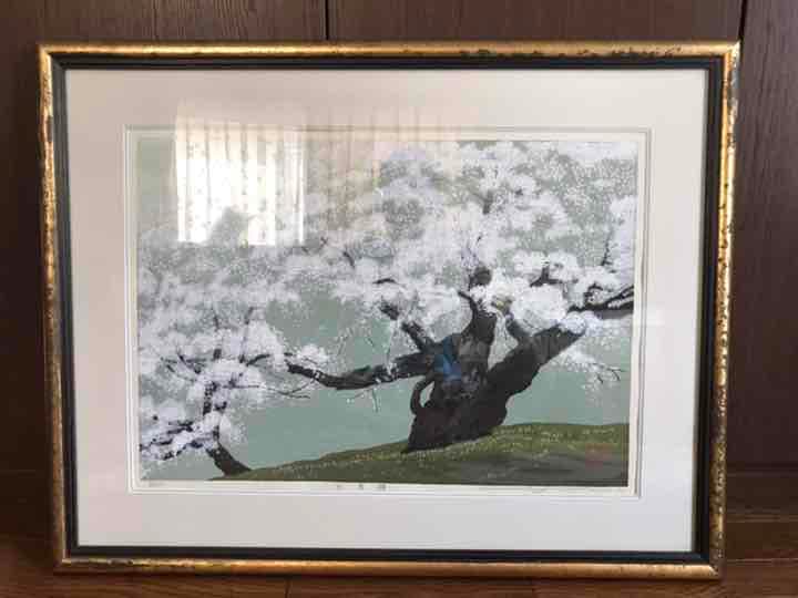 佐野せいじ　臥龍櫻