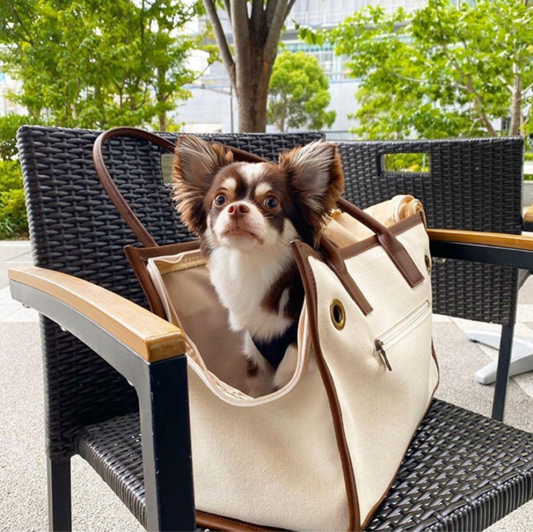 【citydog】新品未使用　バイピングトートキャリー