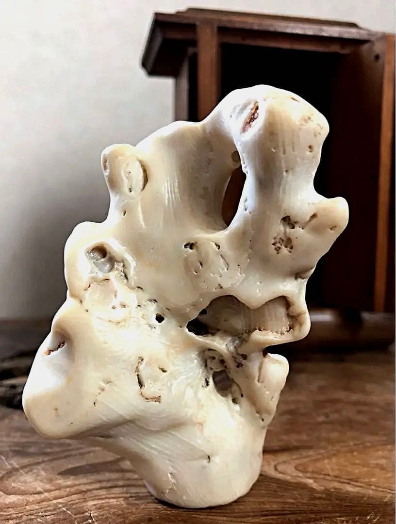 仏教美術 木厨子入り 希少 時代 天然 白珊瑚彫刻 聖観音菩薩 仏像