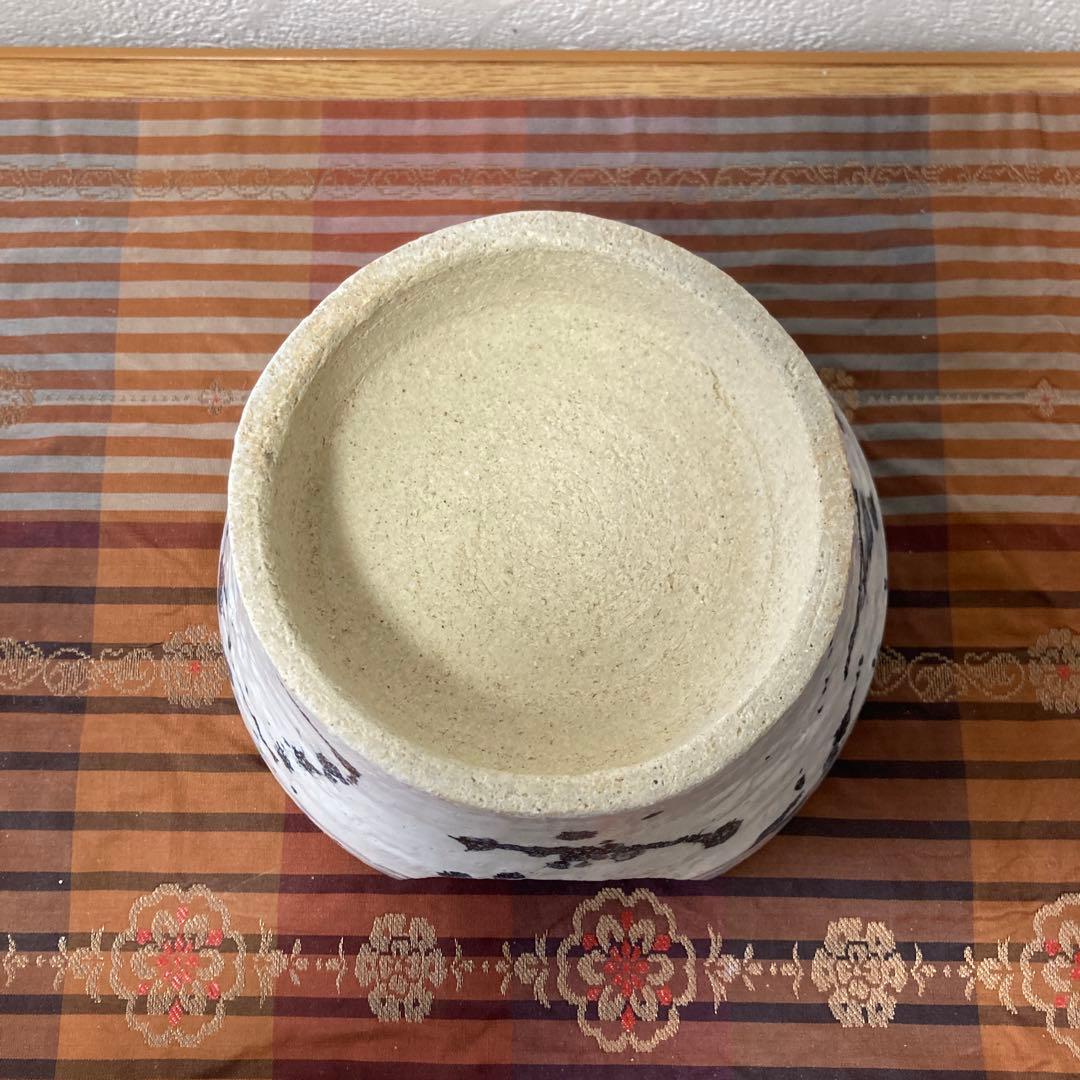 爬虫類シェルター　345 白マット×黒、ブルーとピンク、赤いヒトデ