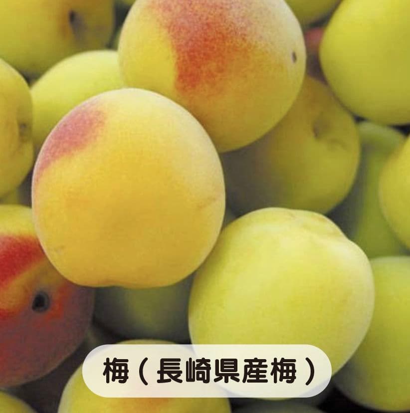 えぐちゃんページ 2kg