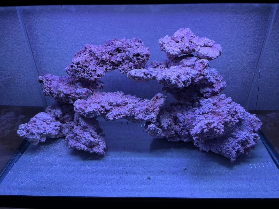 人工ライブロック6個セット