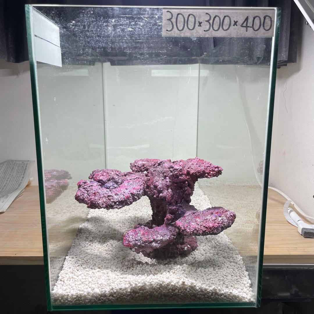 現物在庫SALE‼︎人工ライブロック　SHR23 アク抜き済み安心塗料使用