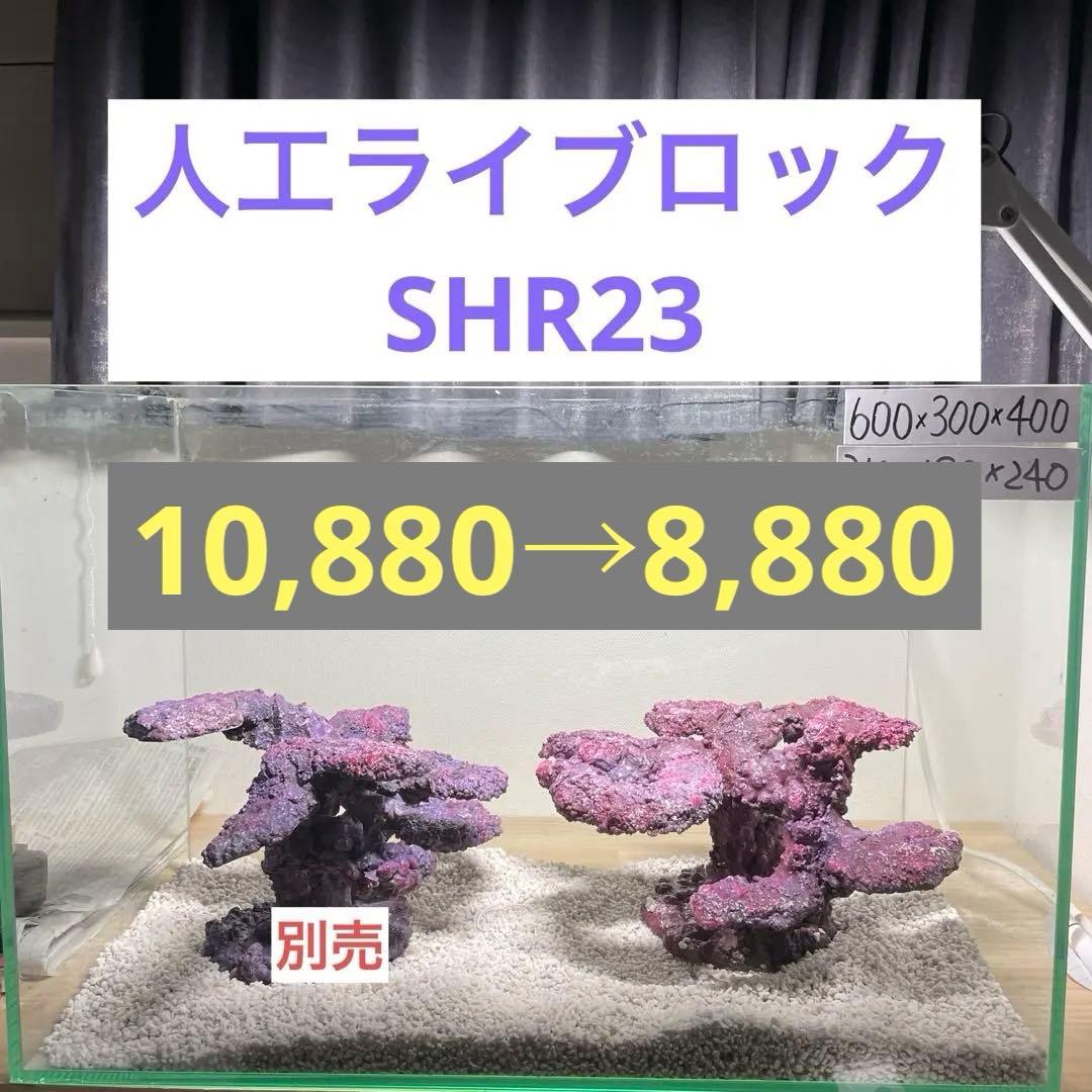現物在庫SALE‼︎人工ライブロック　SHR23 アク抜き済み安心塗料使用