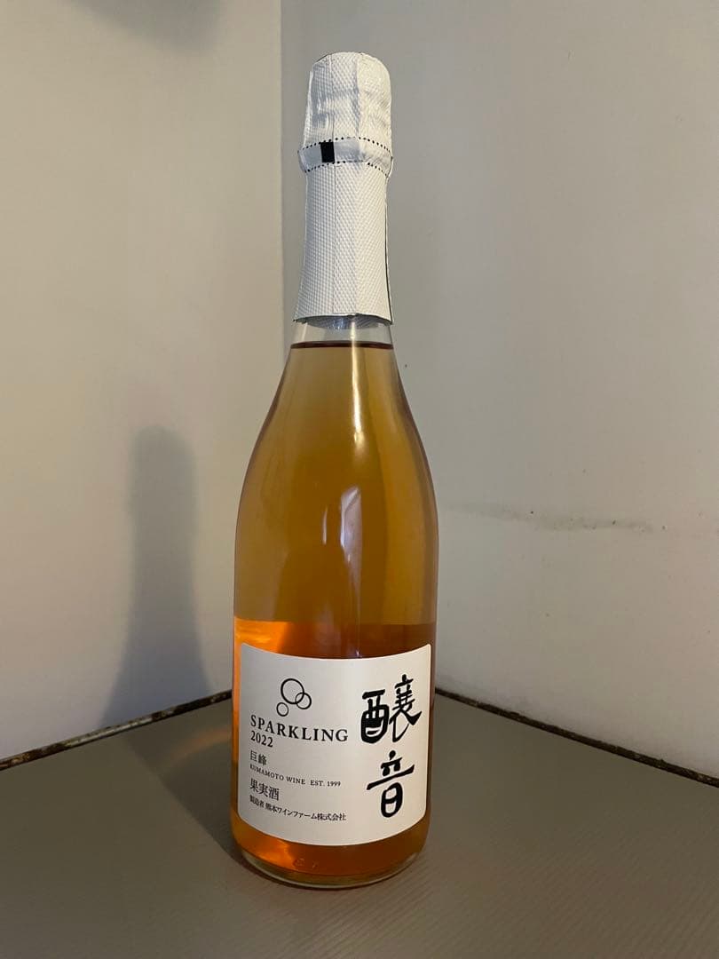 お買い得！ワイン2本　Calon Ségur 2006 赤 他一本