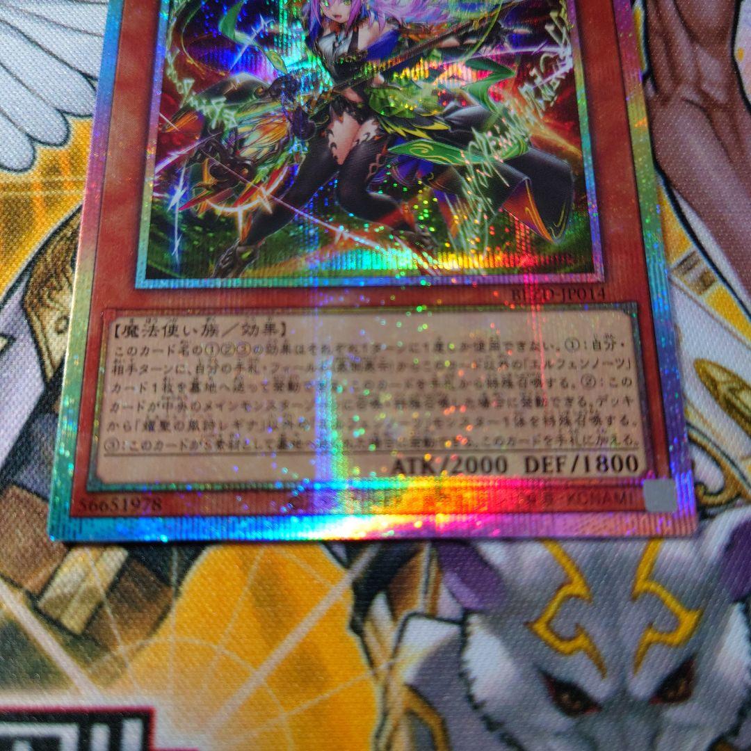 エルフェンノーツ レギナ