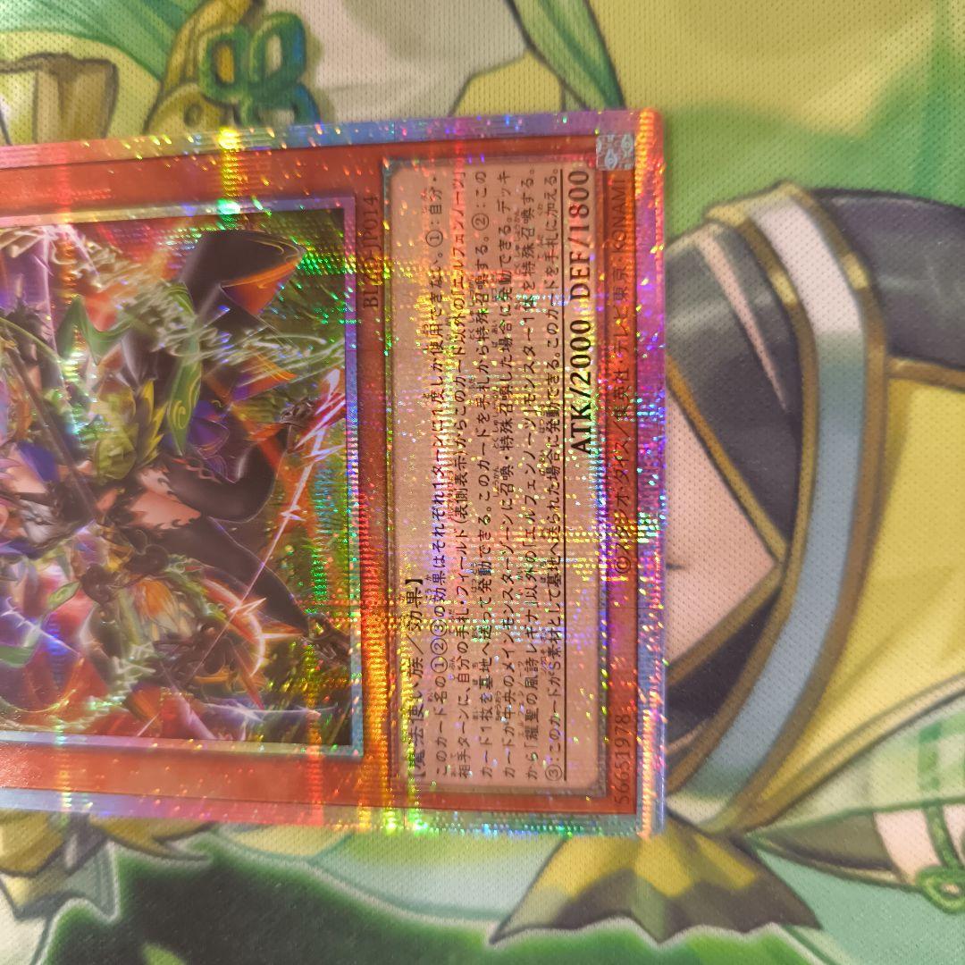 エルフェンノーツ　レギナ　プリシク