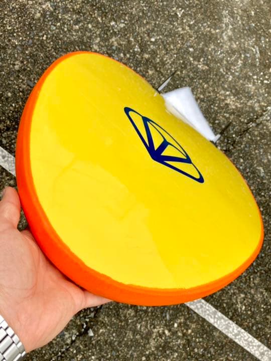 1回のみ使用 キッズ用 OCEAN EARTH ソフトボード The BUG