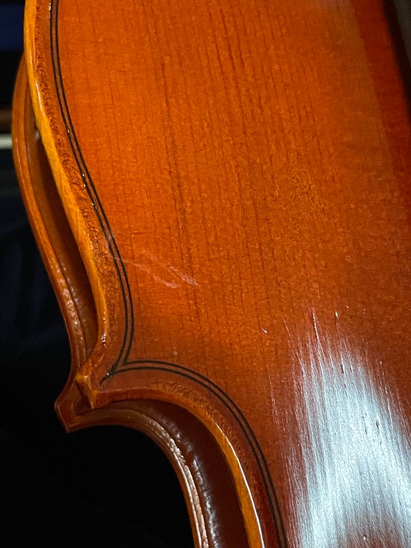 Eastman SVL80セット 4/4 バイオリン