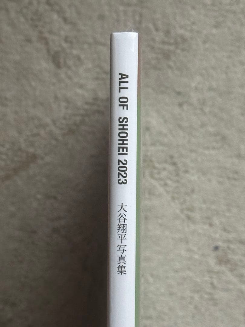 【初版】大谷翔平写真集(タイプAとB)