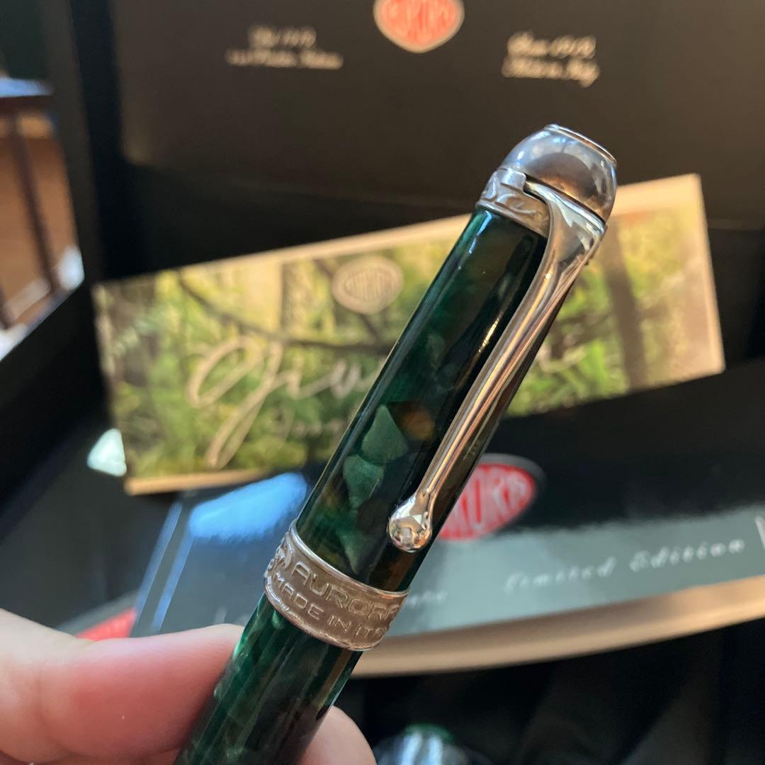 アウロラ　万年筆　ジュングラ　アンビエンテ　EF