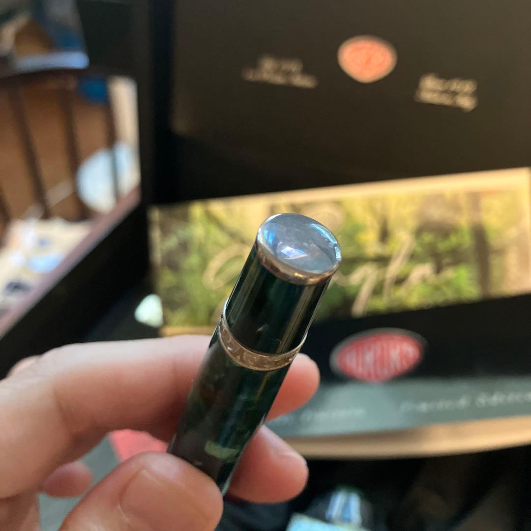 アウロラ　万年筆　ジュングラ　アンビエンテ　EF