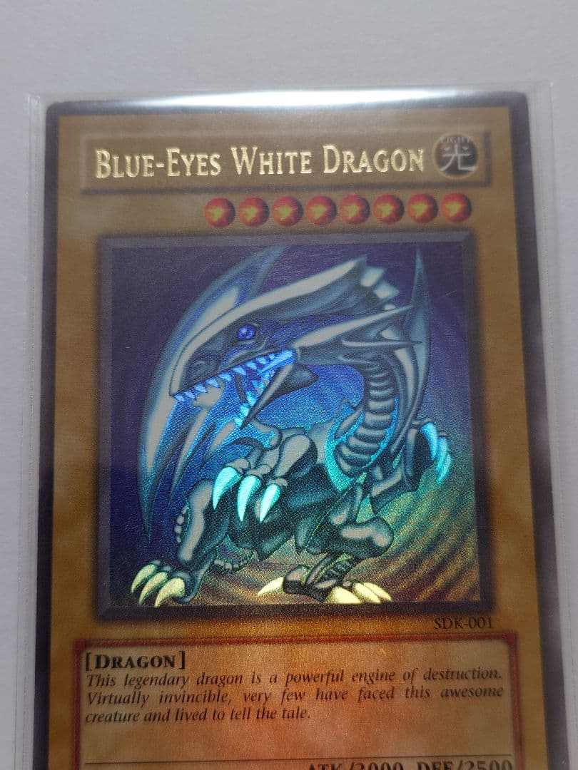 青眼の白龍sdk　全面光沢