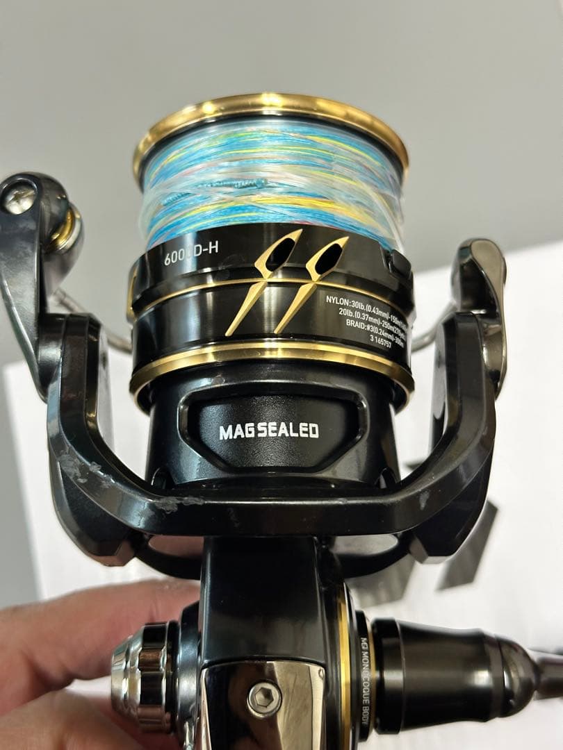 リール DAIWA 22CALDIA SW 6000D-H