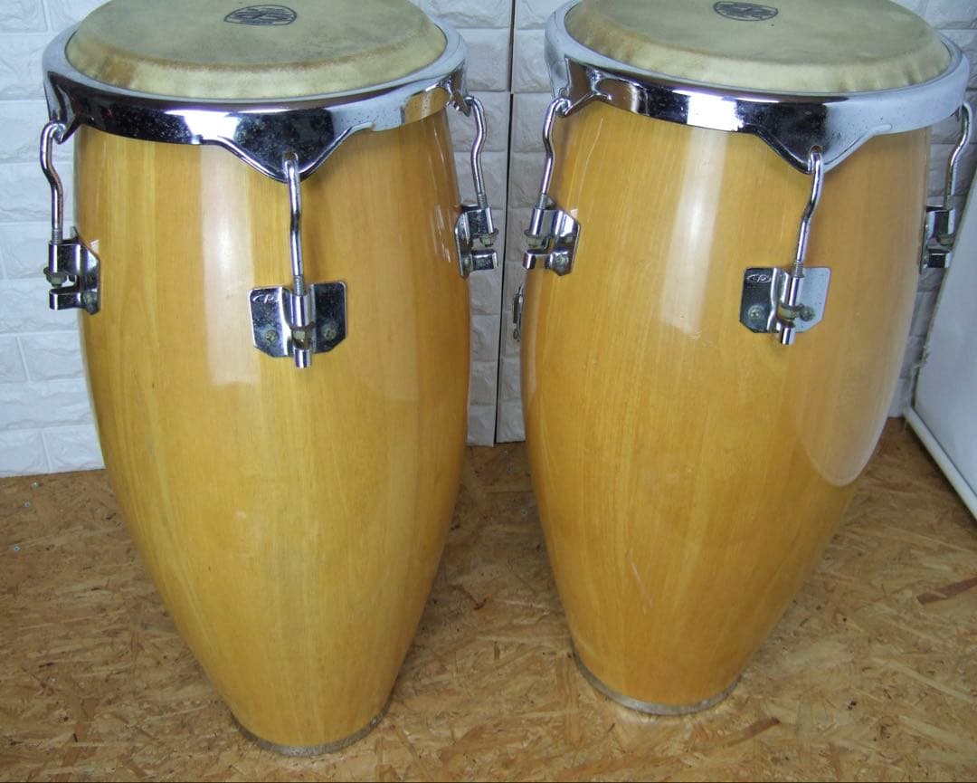 CP Cosmic Percussion コンガ Presented by LP